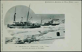 postkort med polarmotiver